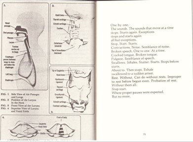 Theresa Hak Kyung Cha, Dictée, Tanam Press, 1982. Photo: Kim Hyeonjoo.
